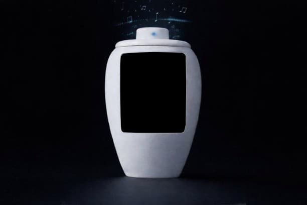 Spotify’s new Urn with a display blank template meme template