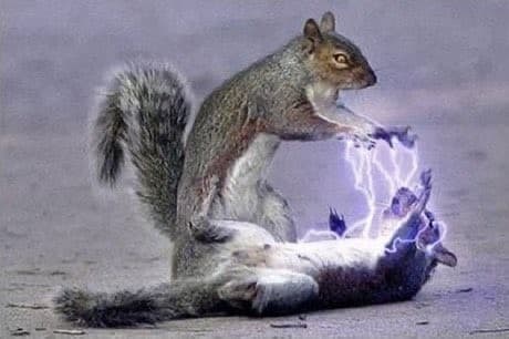 Squirrel sith lightning meme template