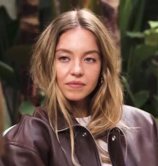 Sydney Sweeney reaction meme template
