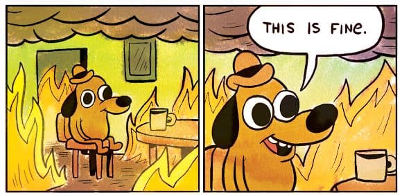 This Is Fine Dog