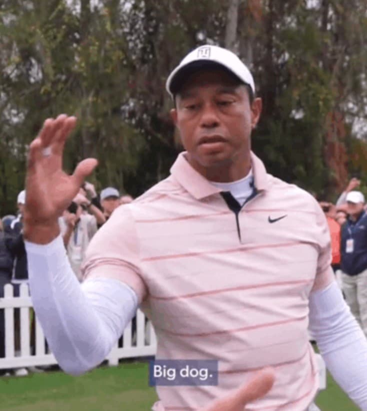 Tiger Woods Big Dog - arrested for DUI