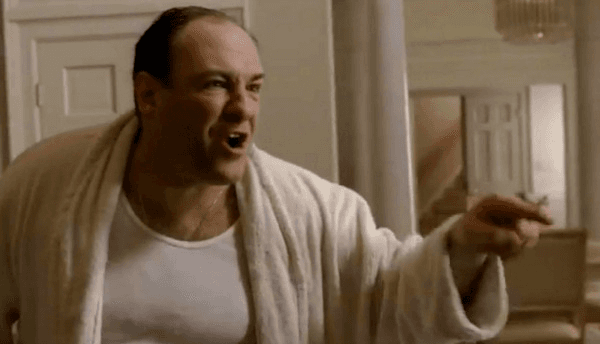 Tony Soprano In This House