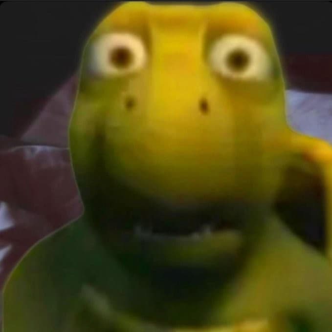 Turtle panic meme template