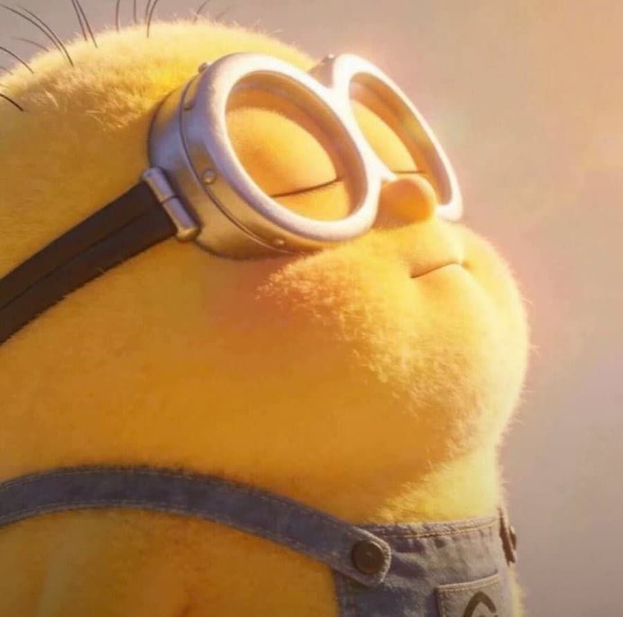 Zen Minion meme template