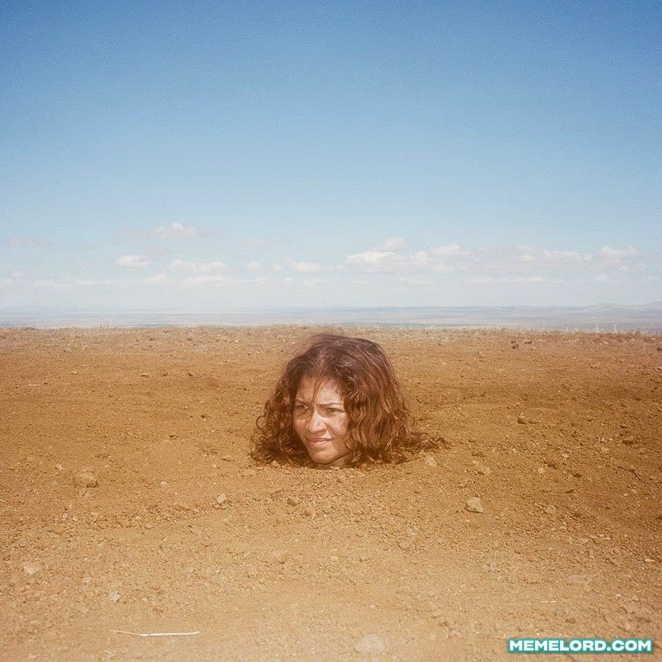 Zendaya neck-deep in desert dirt - 'Euphoria' S3 meme template