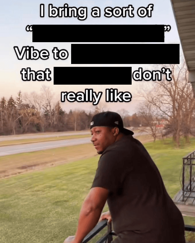 I Bring a Sort of X Vibe to the Y meme template image.