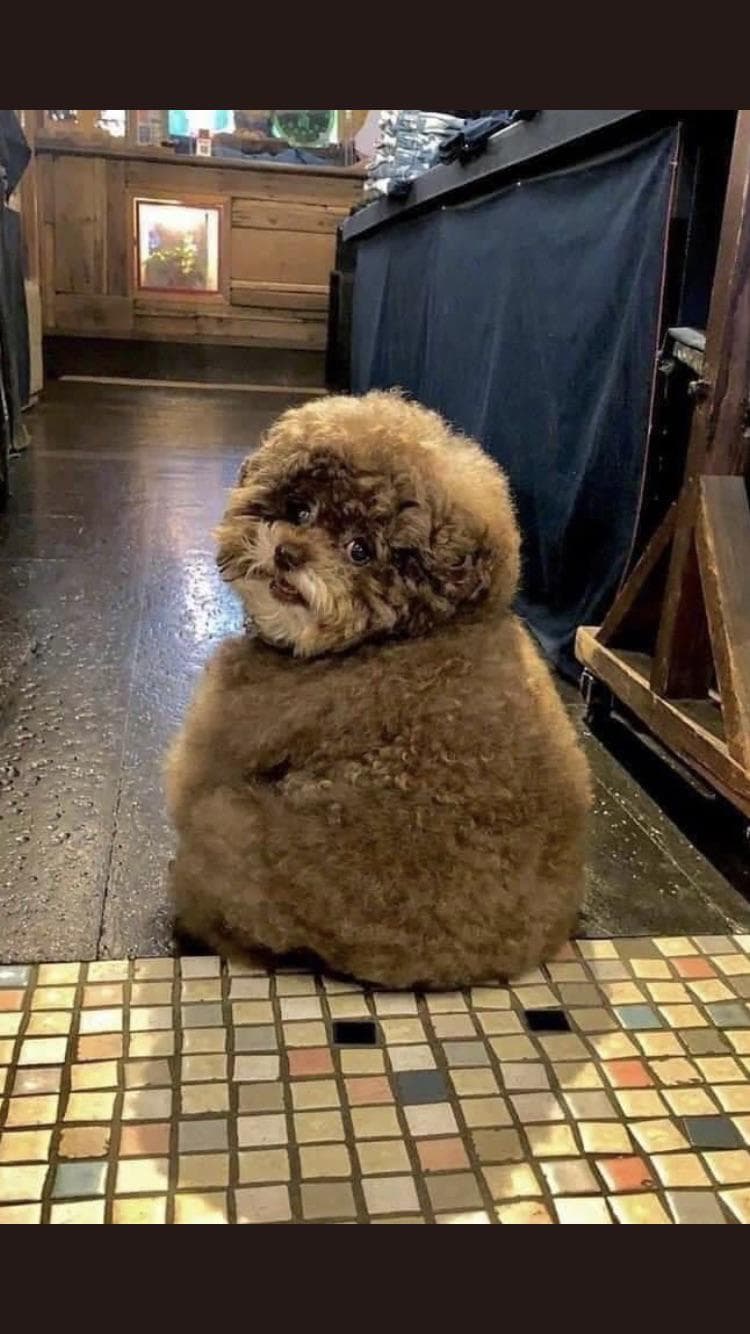 Look back at it meme template image.