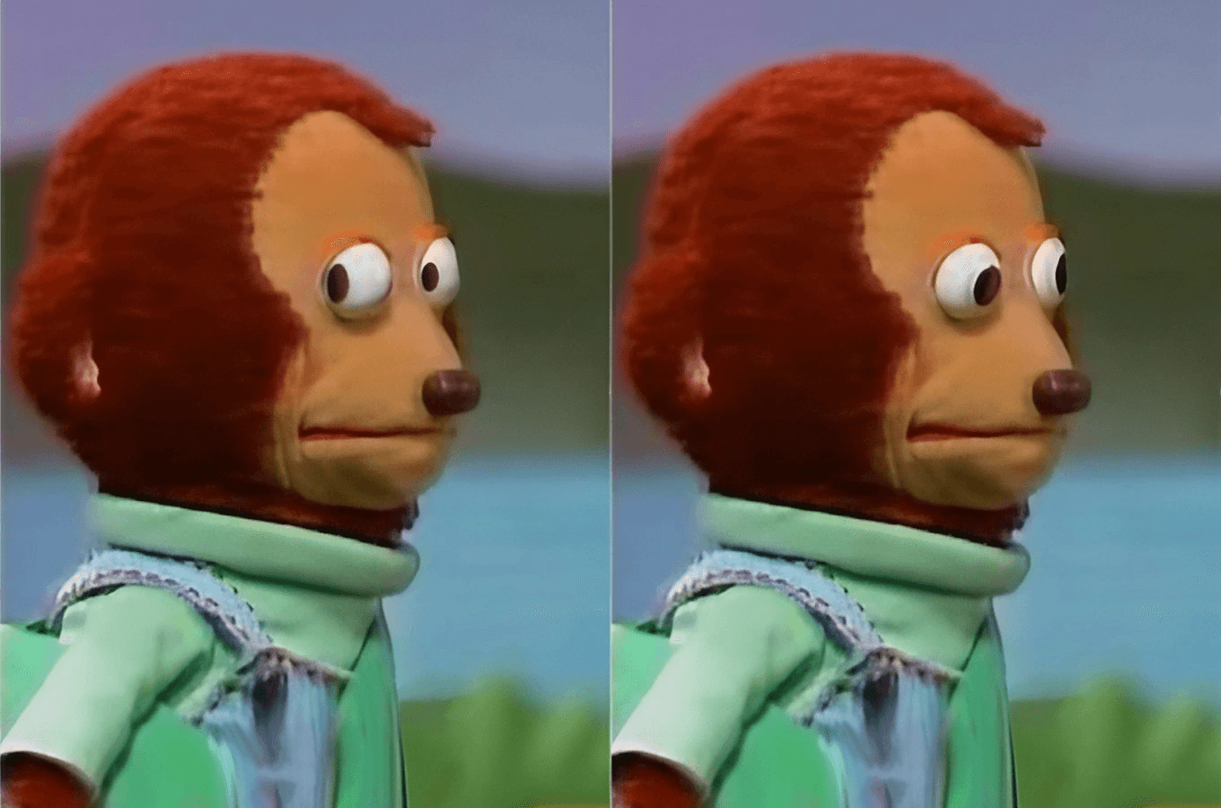 Monkey Puppet Side Eye Meme Template
