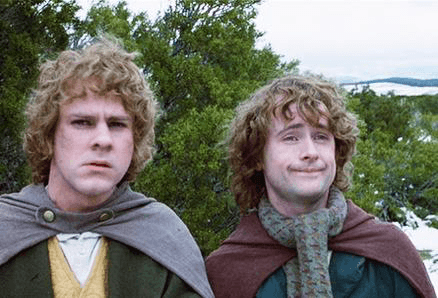 Second Breakfast Meme Template & Meme Template