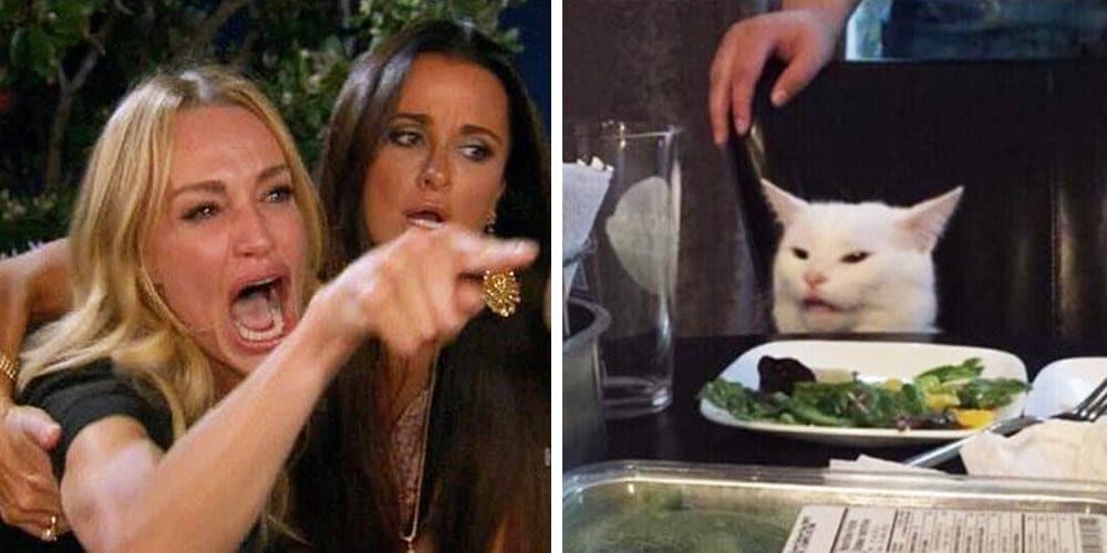 Smudge the cat meme template image.