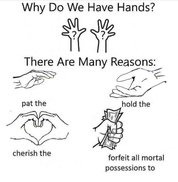 Why Do We Have Hands meme template image.