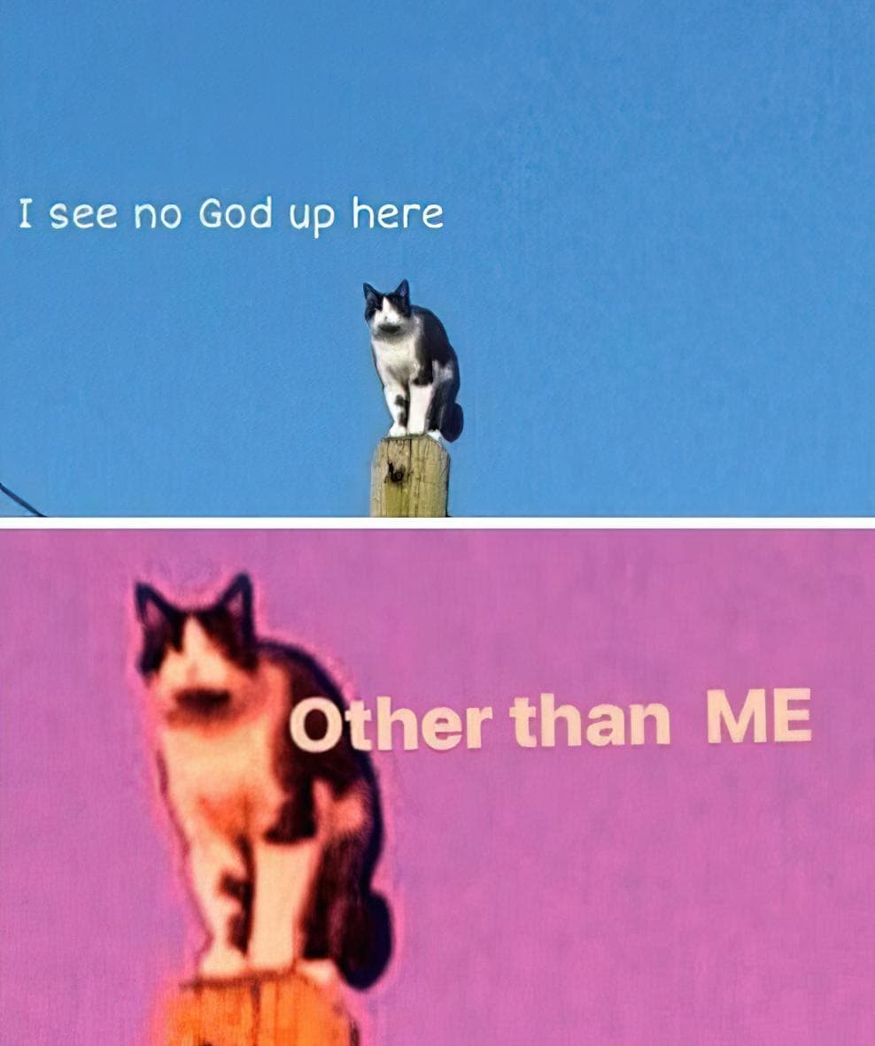 Create Chat cat i see no god up here Meme Online Meme Template