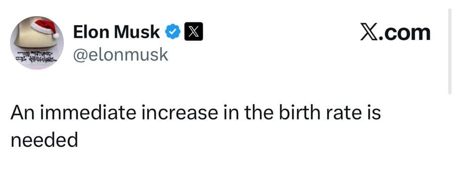 Elon Musk tweet "An immediate increase in the birth rate is needed"