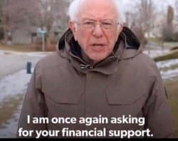 Financial Support Bernie Meme Template