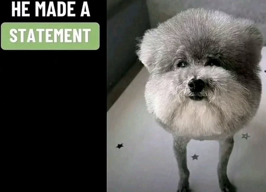 He made a statement dog blank