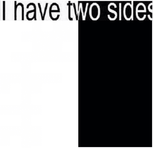 i have two sides meme template image.