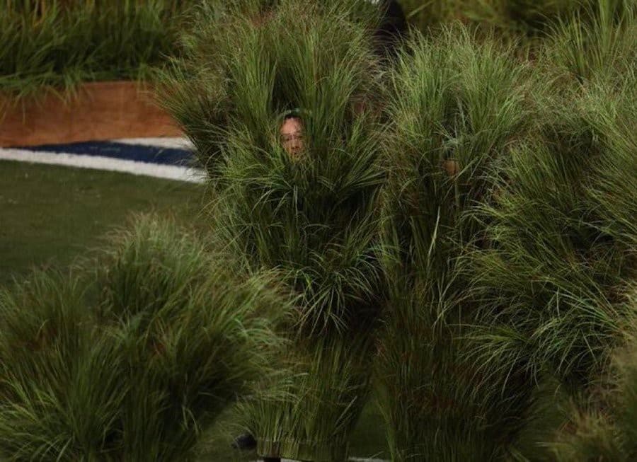 Peeking from the Bush Super Bowl halftime show