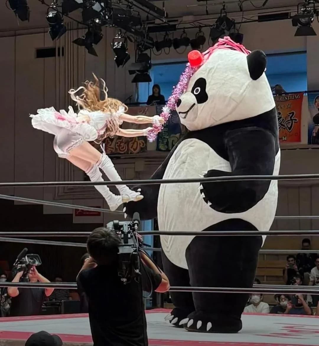 Small Lady sacks a giant panda in the face