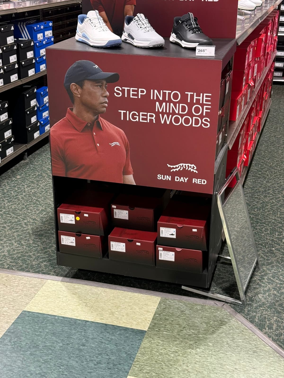 Step into the mind of Tiger Woods
