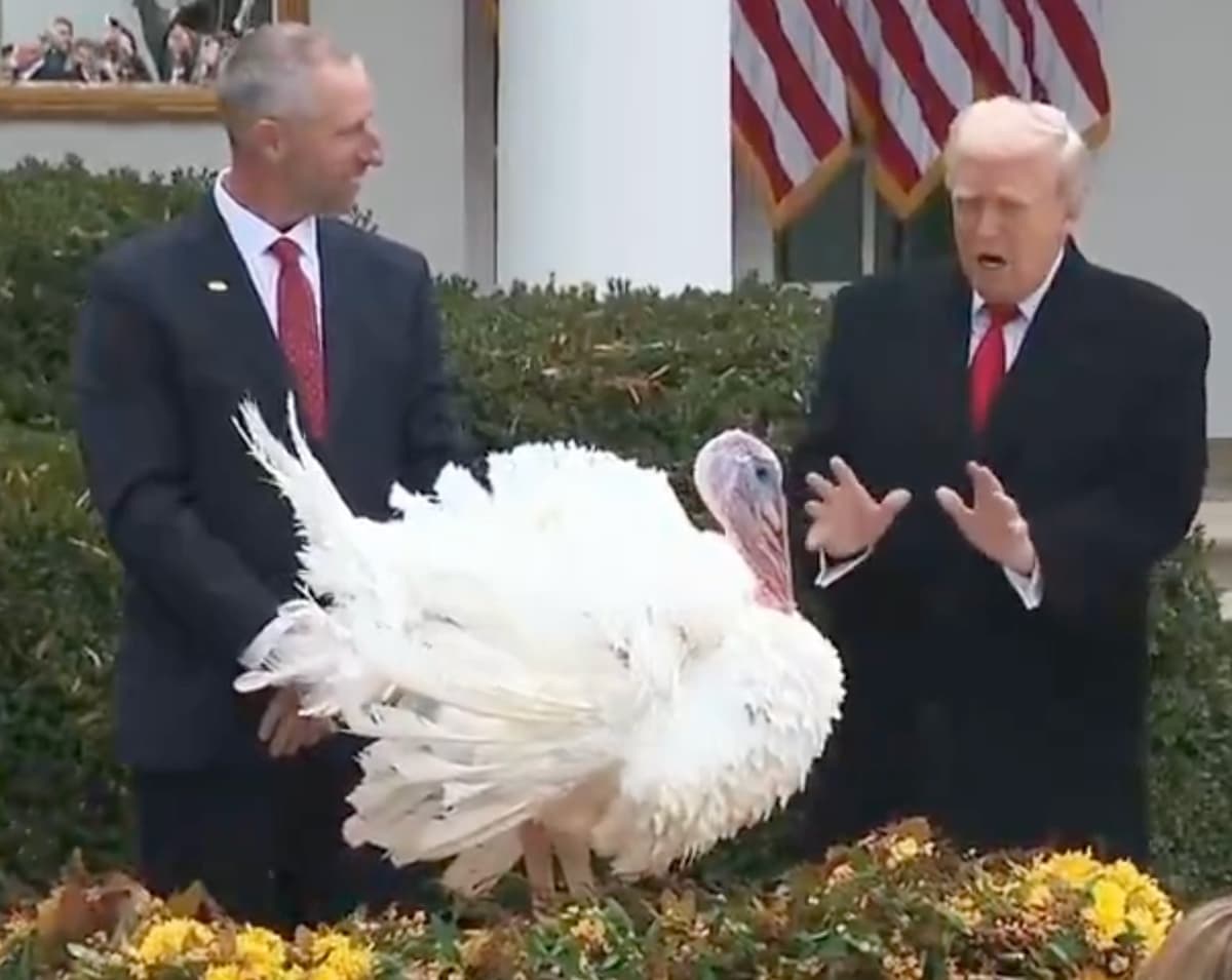 Trump Turkey meme template