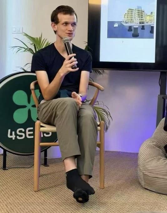 Vitalik Buterin's holey sock meme template