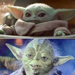 Yoda Vs Baby Yoda Meme Template